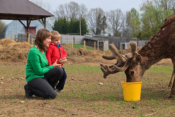 istock family feeding deer 178069590