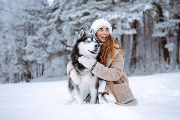 istock A cheerful husky dog walks with its owner in a snowy forest. 1780695956