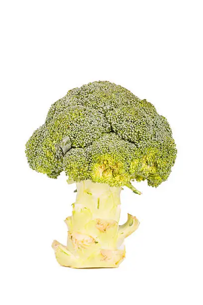 broccoli on a white background.
