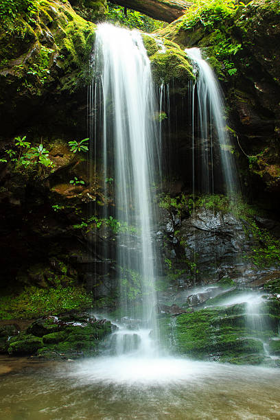 istock Grotto Falls, Great Smoky Mountain National Park 178070158