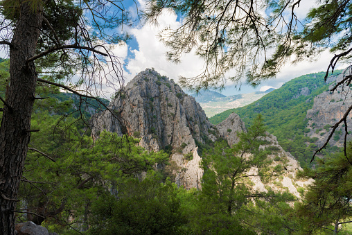 Forest View in Kemer, Adrasan Region. Antalya