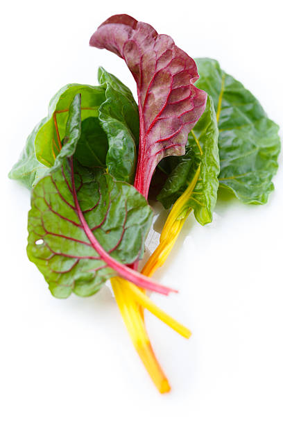 istock Clump of fresh rainbow Swiss chard 178071104