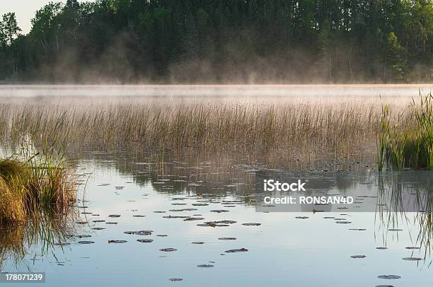 Mississippi - Fotografie stock e altre immagini di Ambientazione esterna - Ambientazione esterna, Aurora, Canale