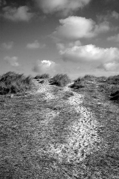 istock Sandy tracks leading to Walberswick Beach, Suffolk, England 178071762