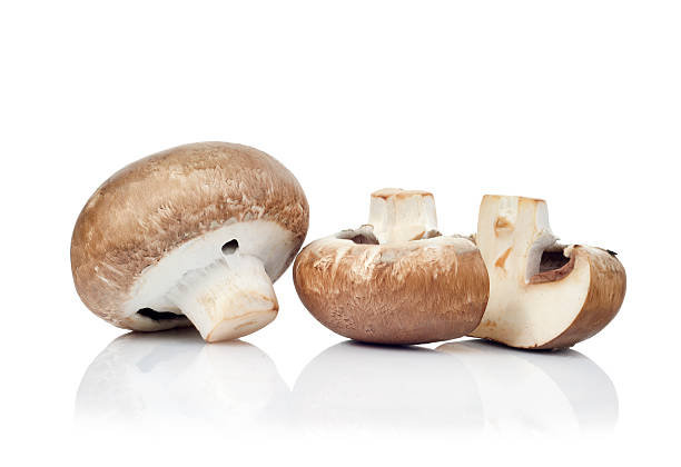 istock fresh mushroom champignon isolated on white background 178071900