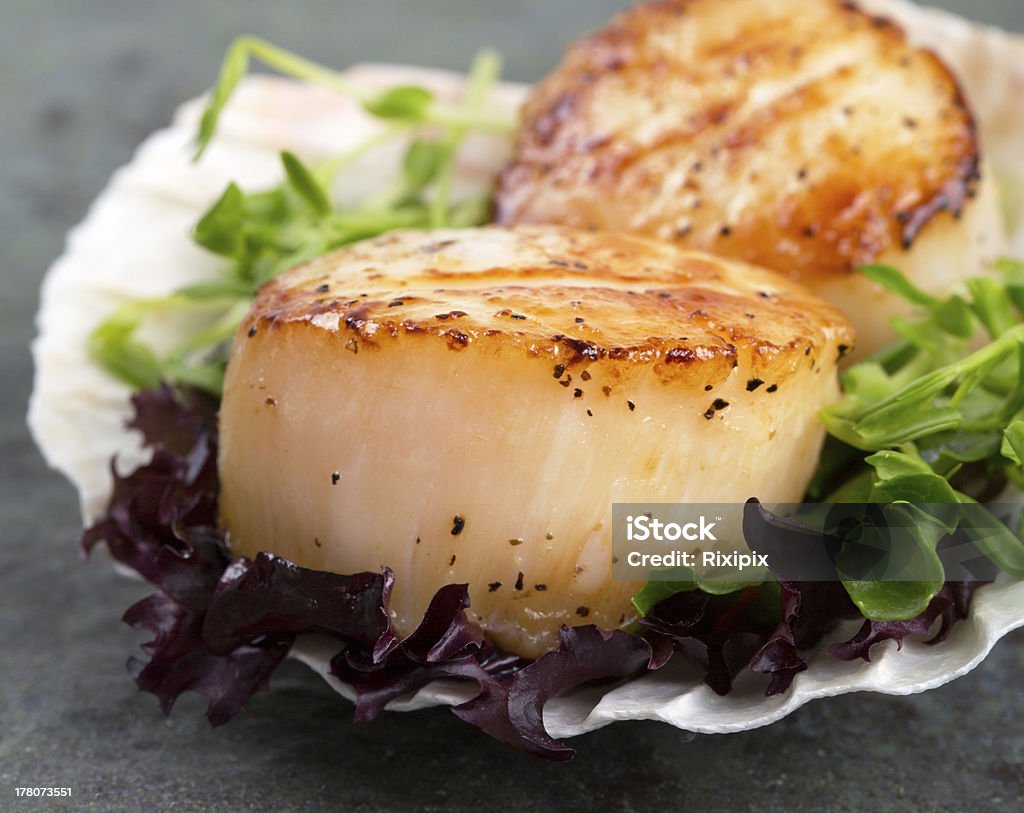 Seared scallops on lettuce Studio closeup of seared scallops, garnished with pea shoots and served on a bed of green and purple curly lettuces, presented on a scallop shell. Scallop Stock Photo