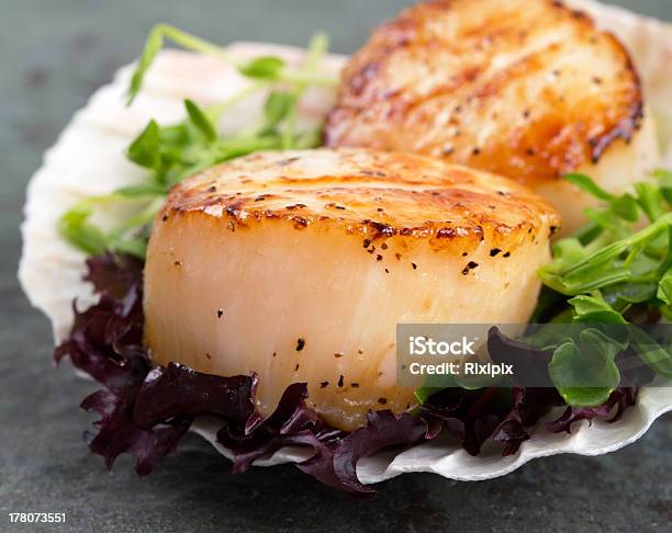 Seared Scallops On Lettuce Stock Photo - Download Image Now - Scallop, Seared, Animal Shell