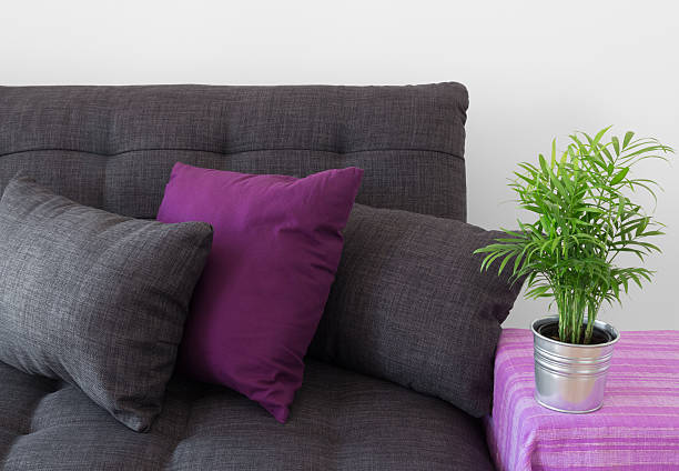 istock Cozy sofa with cushions and green plant 178073594