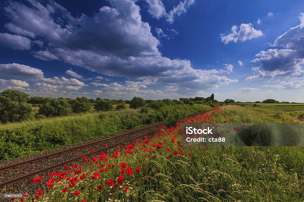 Panorámica de zona rural de ferrocarril - Foto de stock de Aire libre libre de derechos