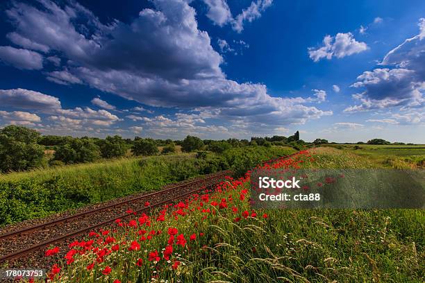 Panorámica De Zona Rural De Ferrocarril Foto de stock y más banco de imágenes de Aire libre - Aire libre, Aislado, Amapola - Planta