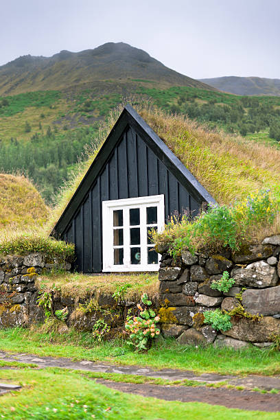 istock Overgrown Small House in Iceland 178073832