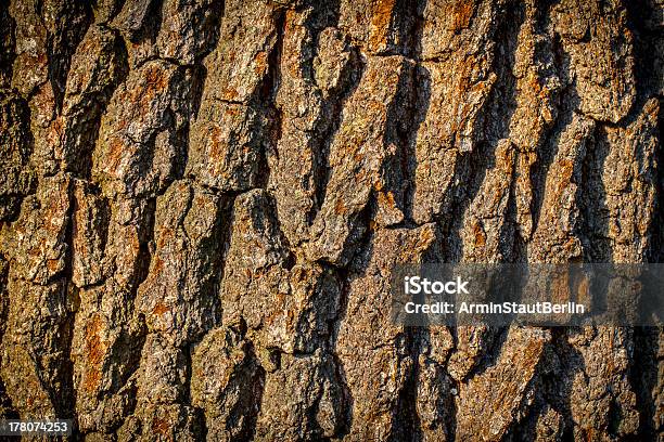 Primo Piano Della Vecchia Sfondo Di Corteccia - Fotografie stock e altre immagini di Albero - Albero, Arrugginito, Astratto