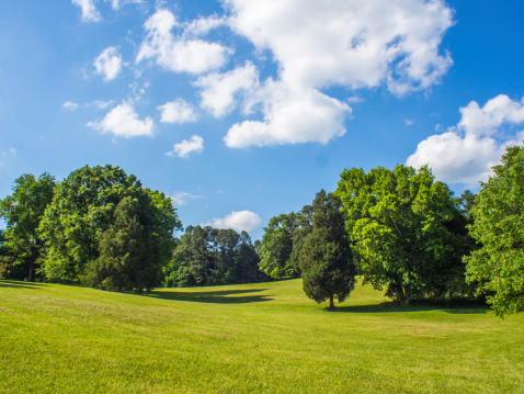Green lawn with woods under blue sky with white clouds. Shadows indicated a sunshine weather condition and curves on the ground surface.