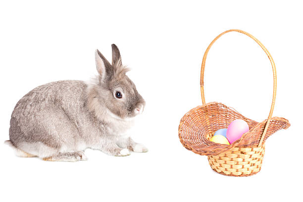 istock Cute Easter Bunny with a basket of eggs 178074583