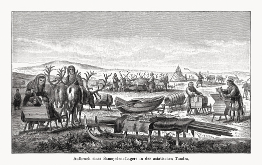 Dismantling a Samoyed camp in the Asian tundra. Wood engraving, published in 1894.
