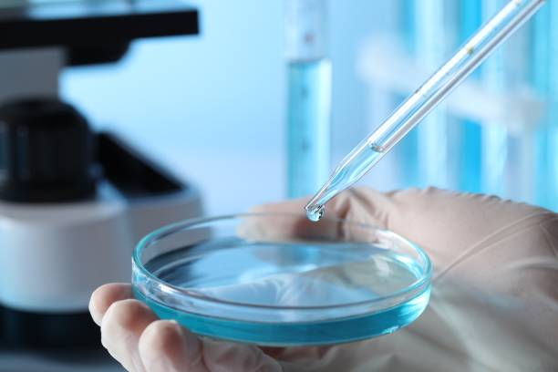 istock Scientist dripping liquid from pipette into petri dish in laboratory, closeup 1780753223