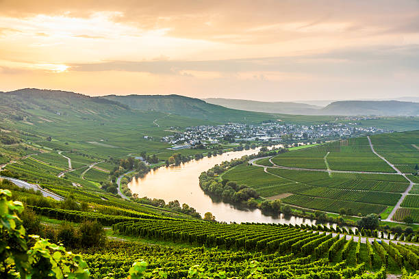 istock famous Moselle Sinuosity with vineyards 178075444