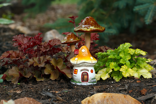 Decorative garden miniature ceramic figurine of a fairy house and mushrooms are among red and green heuchera plants in the flower bed.