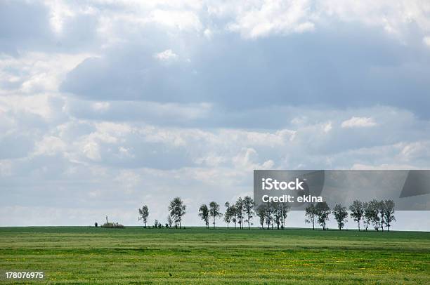 Rolls In A Field Stock Photo - Download Image Now - Blue, Bush, Grass