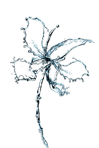 istock Orchid flower made of water 178077005