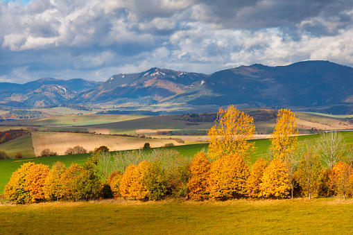 Autumn landscape with brightly colored trees and hills in the background. Liptov region in northern Slovakia, Europe.