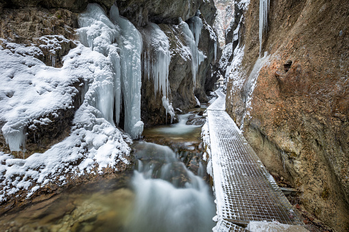 Winter landscape with a wild stream and waterfalls through a narrow gorge and canyon covered with snow and ice. The Mala Fatra national park in Slovakia, Europe.