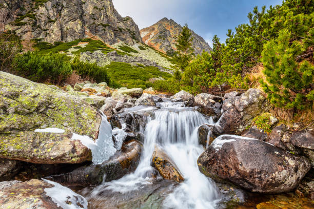 Wild creek in The Mlynicka Valley at late autumn period. Wild creek in The Mlynicka Valley at late autumn period. The High Tatras National Park, Slovakia, Europe. pleso stock pictures, royalty-free photos & images