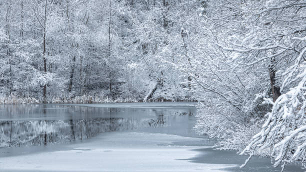 istock Winter snowy landscape with lake by a forest. 1780772074