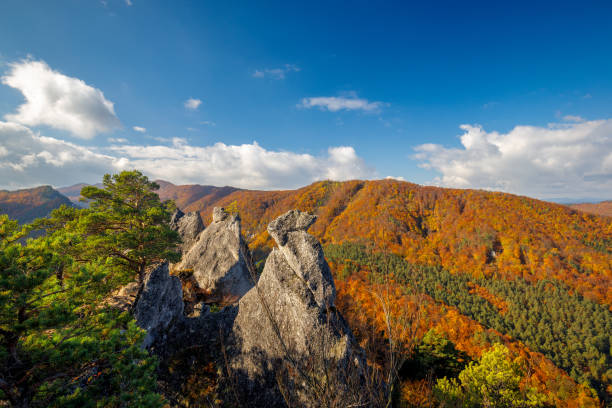 istock Mountain landscape during autumn morning. 1780772650