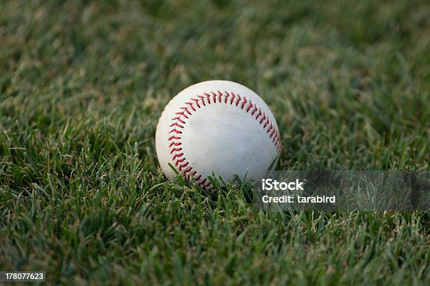 Béisbol En Campo Interno De Hierba Foto de stock y más banco de imágenes de Campeonato deportivo juvenil - Campeonato deportivo juvenil, Campo de béisbol, Campo interno