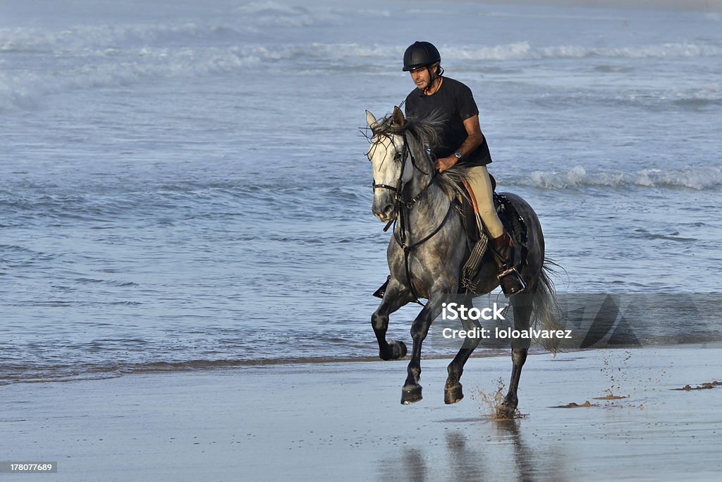 Rider galloping on horseback along the beach Young men and her horse gallop along the waters edge on sunny beach in Spain Beach Stock Photo
