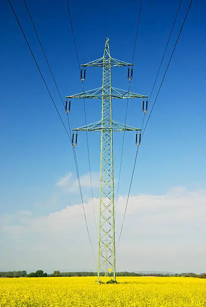 electricity pylon ant wires at a canola field