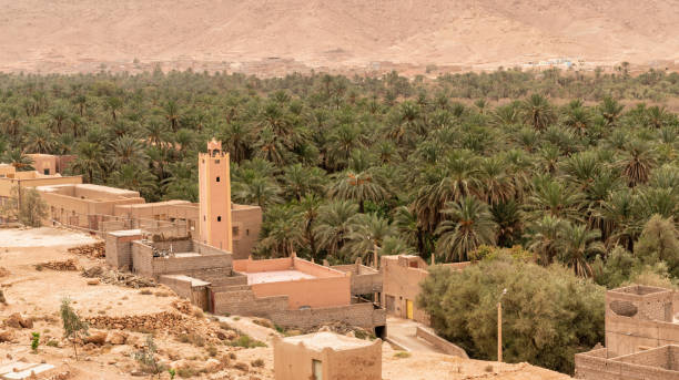 istock Erfoud town, nestled in the Tafilalet oasis 1780779151