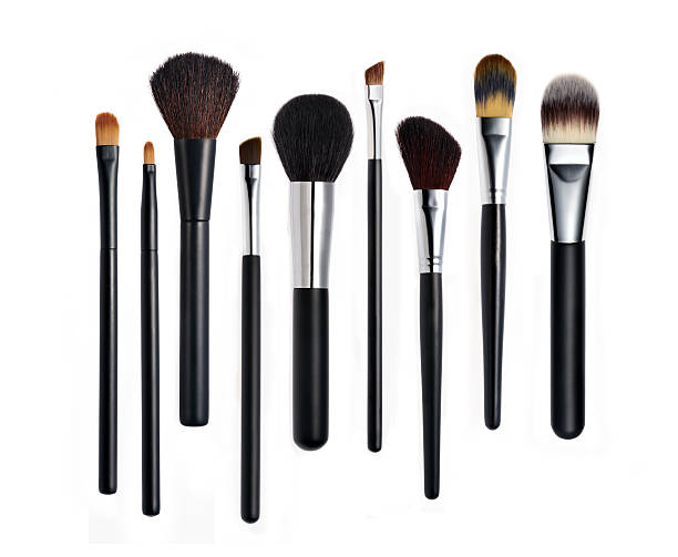 Set of various types of makeup brushes lined up in a row stock photo