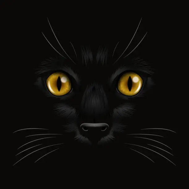 Vector illustration of Vector 3d Realistic Yellow or Orange Cats Eye of a Black Cat in the Dark, at Night. Cat Face with Yes, Nose, Whiskers on Black. Cat Closeup Look in the Darkness. Front View