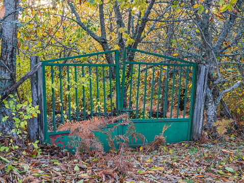 Old metal gate in the field