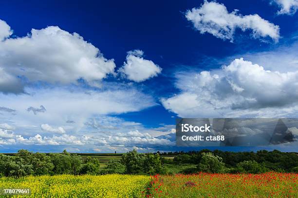 Foto de Belo Campo Rural No Verão e mais fotos de stock de Agricultura - Agricultura, Azul, Botânica - Assunto