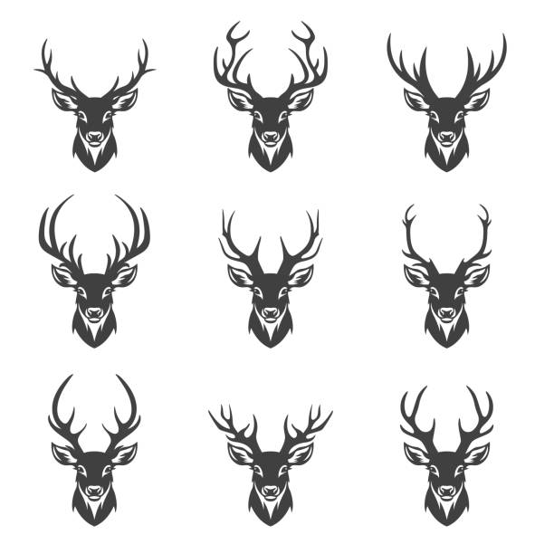 Vector Christmas Reindeer Horns, Antlers. Deer Horn Silhouettes. Hand Drawn Deer Horn, Antler Set. Animal Antler Collection. Design Elements of Deer. Wildlife Hunters, Hipster, Christmas Concept.