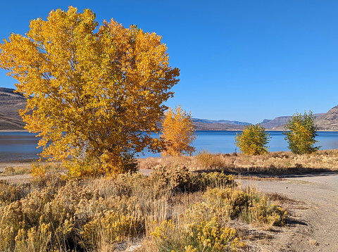 Autumn colors at the Curecanti National Recreation Area near Gunnison Colorado