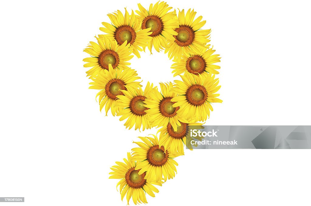 alphabet aus Sonnenblume - Lizenzfrei Bildung Stock-Foto