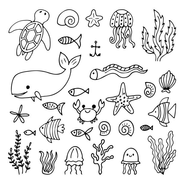 illustrazioni stock, clip art, cartoni animati e icone di tendenza di set di animali marini in stile disegnato a mano. vita oceanica. sott'acqua, sotto il mare, marino - water plant coral sea jellyfish