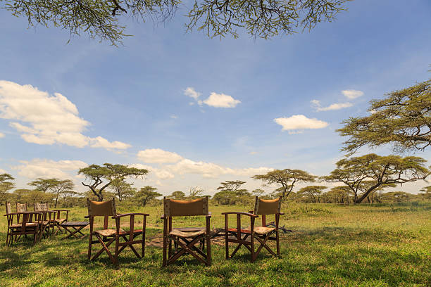 istock Camp chairs in the shade of a tree 178081969