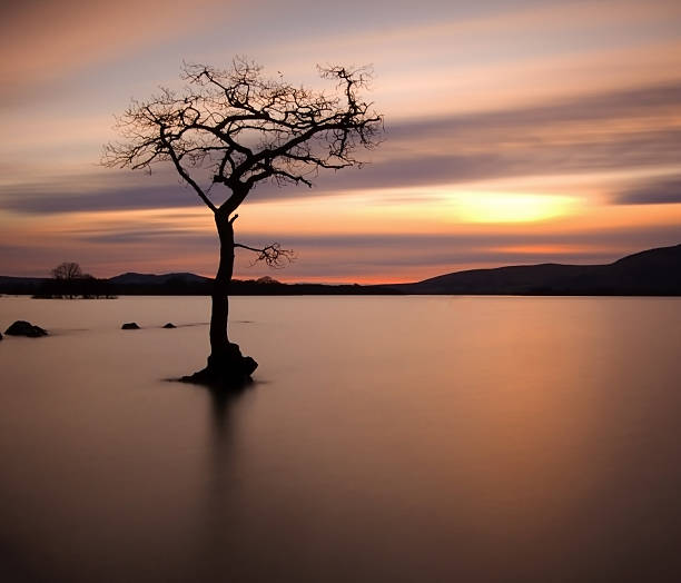 istock Loch Lomond Scotland 178082046