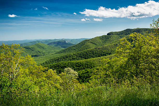 looking glass rock, blue ridge parkway - looking glass rock imagens e fotografias de stock