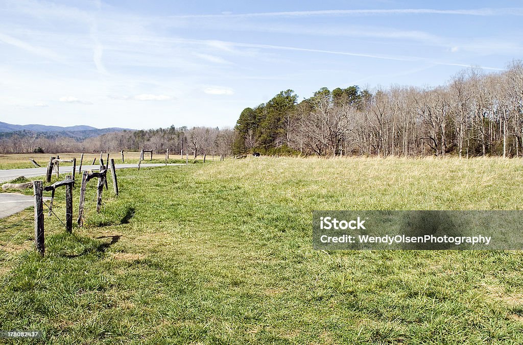 Cades Cove, Tennessee - Lizenzfrei Baum Stock-Foto