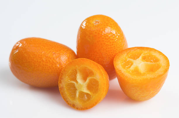 istock kumquat for my 178082822
