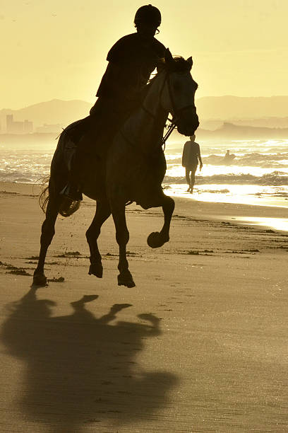 istock Rider galloping on horseback along the beach 178082894