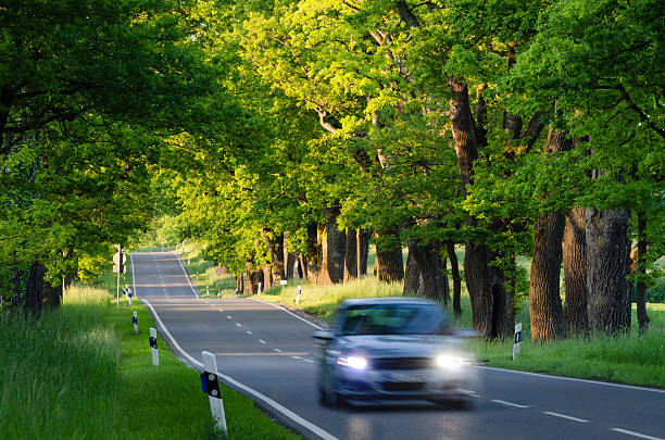 istock Silver car on Country Road with Oak Trees 178084892