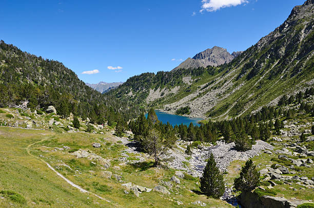 istock Neouvielle nature reserve in the summer Pyrenees 178084918