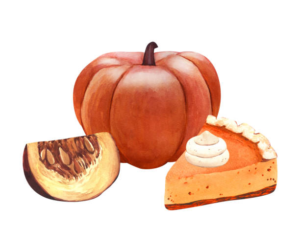 Watercolor orange pumpkin and slice pie, traditional dessert for Thanksgiving dinner. Hand-drawn illustration isolated on white background. Perfect for menu, cooking, packing, card thanksgiving Watercolor orange pumpkin and slice pie, traditional dessert for Thanksgiving dinner. Hand-drawn illustration isolated on white background. Perfect for menu, cooking, packing, card thanksgiving. whipped cream dollop stock illustrations